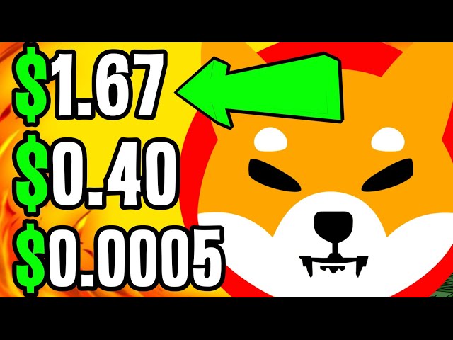 SHIBA INU: ELON MUSK JUST DID IT! SHIBA'S EXPLOSIVE SURGE!!! SHIBA INU COIN NEWS TODAY