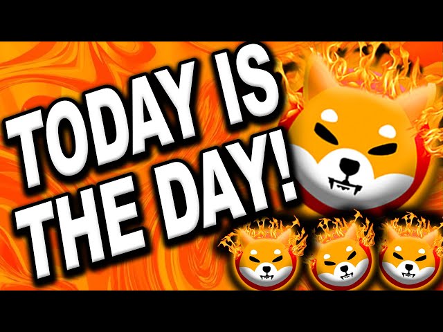 TODAY IS THE DAY!!! YOU WILL LOVE THIS!!! MAJOR SHIBA INU UPDATE...