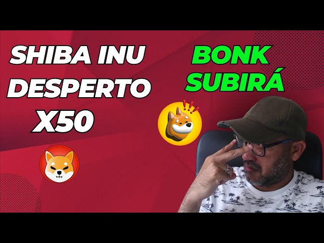 SHIBAINU, YOU WILL MAKE A LOT OF MONEY | BONK WILL MAKE AN X100 | COMPLETE ANALYSIS |