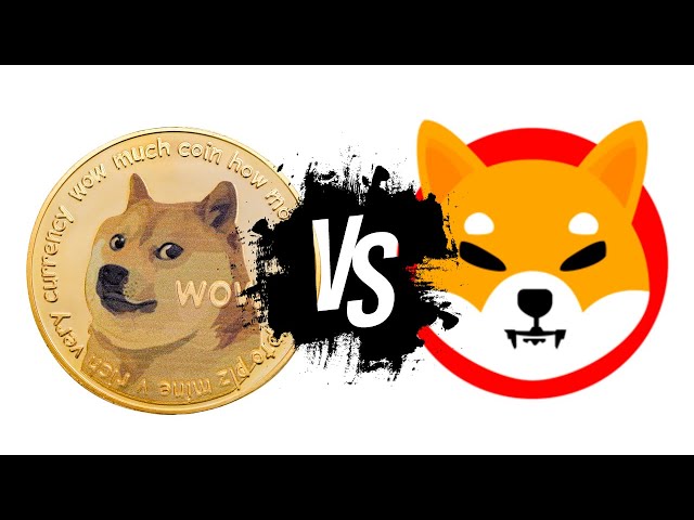 SHIBA INU 코인 VS DOGECOIN - 어느 것이 더 나은가요?