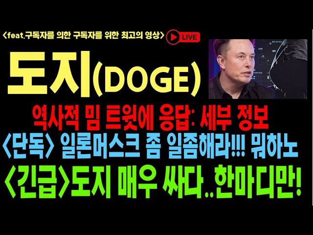 Dogecoin Doge Dogecoin Outlook SHIB DOGE Elon Musk AI Artificielle AI Coin Outlook Bitcoin Ethereum Dogecoin