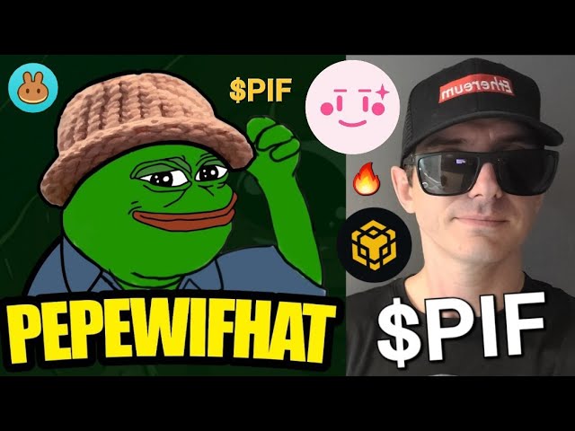 $PIF - PEPE WIF HAT 代币预售加密货币 如何购买 PIF BNB BSC IDO WifHat PepeWifHat MEMECOIN