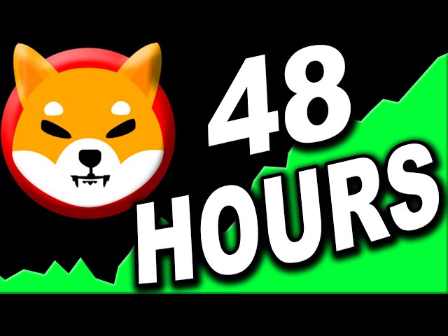 BIG NEWS! NEXT 48 HOURS WILL BE INSANE... SHIBA INU UPDATE WILL BLOW YOUR MIND!