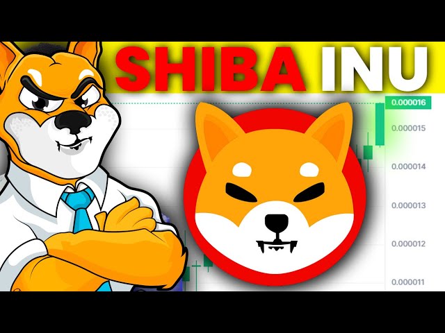 Shiba Inu Price Prediction as $2.6 Billion Trading Volume Comes In–Are Whales Buying SHIB Before $1?