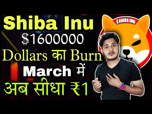 SHIB $1600000 美元 का Burn March में £1 |柴犬硬币今日新闻 |最新消息 |加密新闻