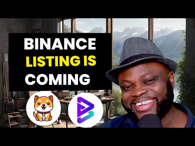 Baby Dogecoin & Bitgert Brise: Potential Binance Listings & What You Need to Know (2024)