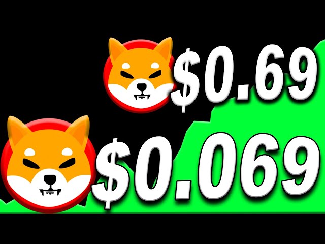 SHIBA INU IS ABOUT TO BEAT DOGECOIN! BIG PUMP COMING SOONER THAN YOU THINK!