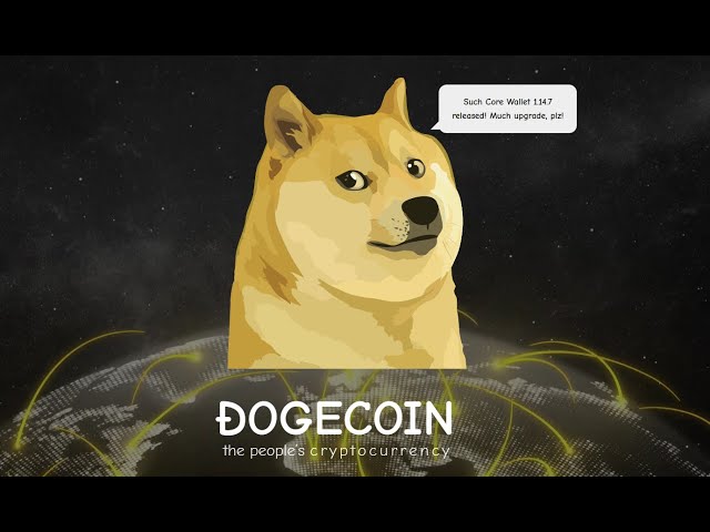 DOGE - investment in cryptocurrency