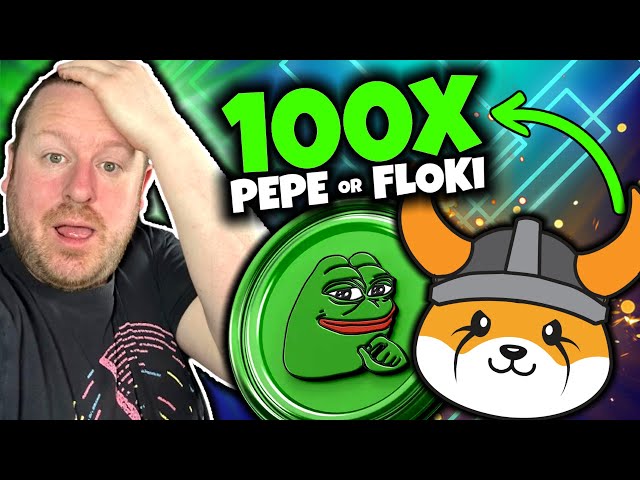 PEPECOIN OU FLOKI INU QUI VOUS GAGNE DES MILLIONS SUR CE MARCHÉ BULL