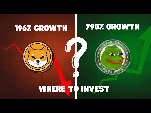 Pepe contre Shiba : Meme Coin SHOWDOWN ! (Qui est le meilleur investissement ?)