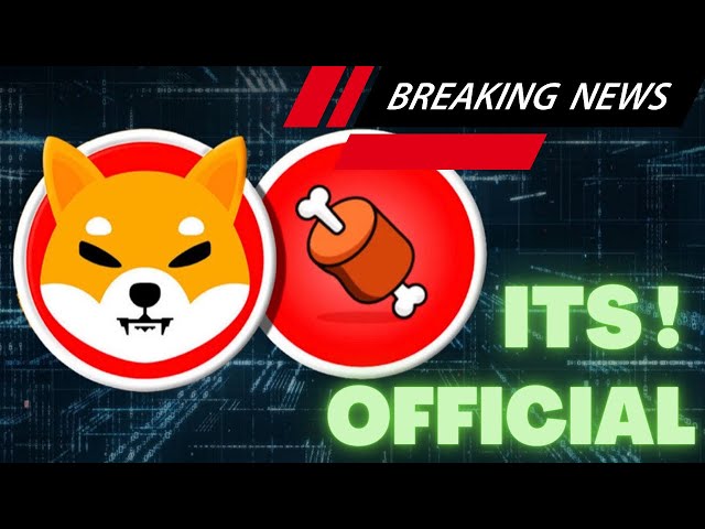 ES IST OFFIZIELL! KNOCHEN-TOKEN-INHABER! 40 % ERHÖHUNG FÜR DIE KRYPTOWÄHRUNG SHIBA INU! RIESIGES UPDATE!!