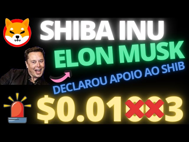 1,00 $ SHIBA INU, gerade erschienen, ELON MUSK ERKLÄRT UNTERSTÜTZUNG FÜR SHIBA INU! JETZT HÄLT ES NIEMAND MEHR!