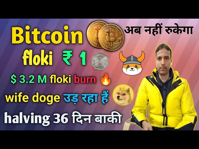 比特币 71K पार ll floki inu 3.2 M 燃烧 🔥ll 妻子 doge 价格上涨 ll 减半 36 दिनों बाद ll #btc