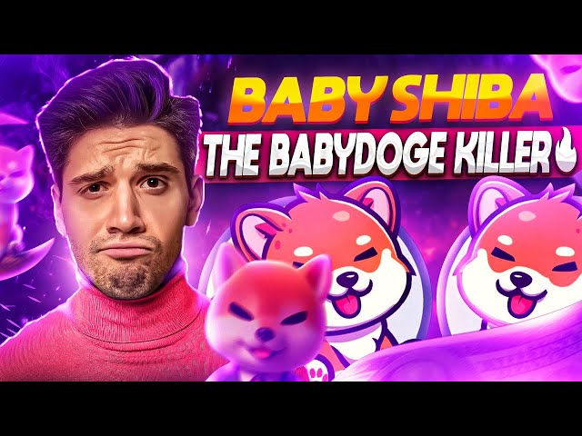 Baby Shibau🔥- BabyDoge🔥- Doge Killer🔥- Token🔥- BabyDoge Killer 🔥 - 下一个 1000 倍潜力 🔥