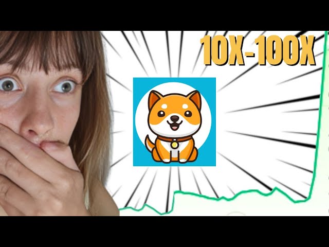 巨大的小狗狗币 (BABYDOGE) 2024 年价格预测！ 🚀🚀🚀