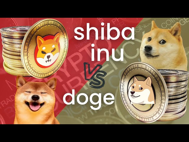 Shiba Inu vs Doge Price Prediction 🔥🚀 (THIS COULD BE HUGE!) Best Crypto 2024 March