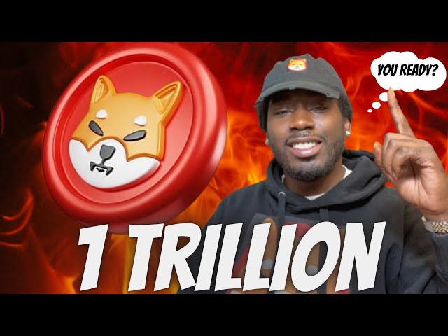 Shiba inu Team Comments On Burning 1 Trillion $SHIB Tokens