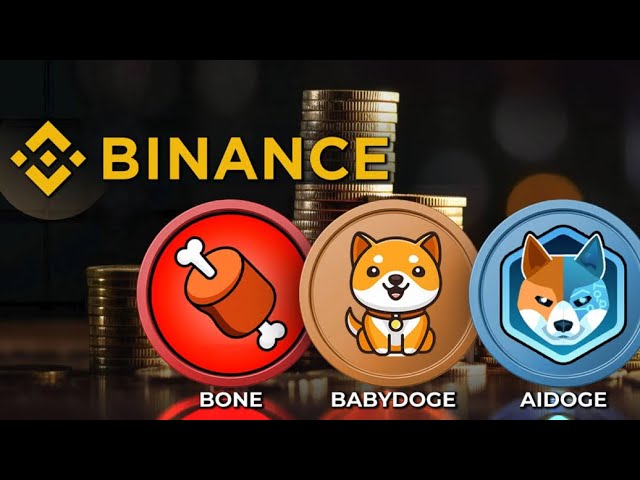 BINANCE ADDS BONE TOKEN - SHIBARIUM GAS TOKEN LIVE - MAJOR SHIB ARMY NEWS 🚨