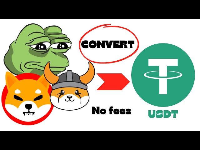 (Pepe Coin、Floki Coin、Shiba inu) MEME COINS を USDT に変換する方法 (手数料なし) プルーフ アップデート