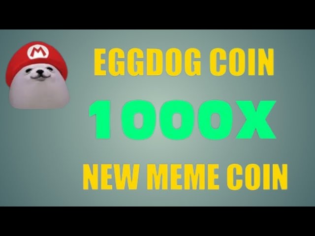 🔥Nouvelle mise à jour😱EGGDOG NOUVELLE MEILLEURE PIÈCE MEME 2024 || NOUVELLE PIÈCE SOLANA MEME || 1000X POTENTIEL 🚀🚀🚀