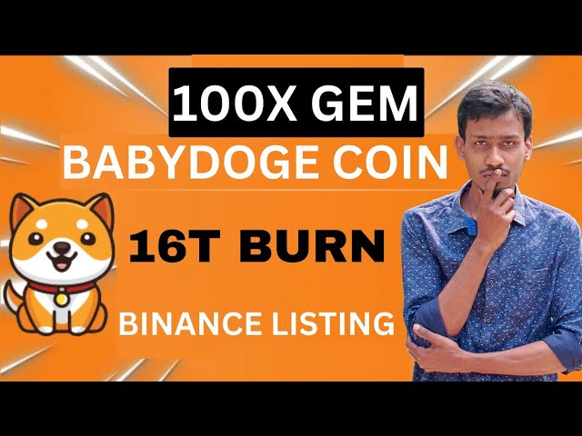 Actualités Baby Dogecoin aujourd'hui | 16 000 milliards de brûlures | Pompe à prix des pièces BabyDoge 100x | Liste Binance