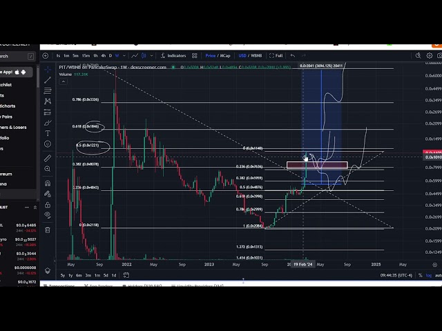 Pitbull PIT BSC Meme Coin Crypto Prévision de prix et analyse technique aujourd'hui 2024