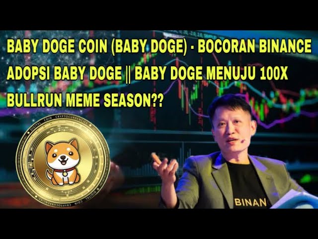 BABY DOGE COIN (BABY DOGE) – BINANCE VERLÄSST DIE ADOPTION VON BABY DOGE || BABY DOGE AUF DEM 100-fachen BULLRUN??