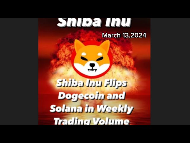 Shiba Inu는 Doge 동전과 Solana를 뒤집습니다. 2024년 3월 13일