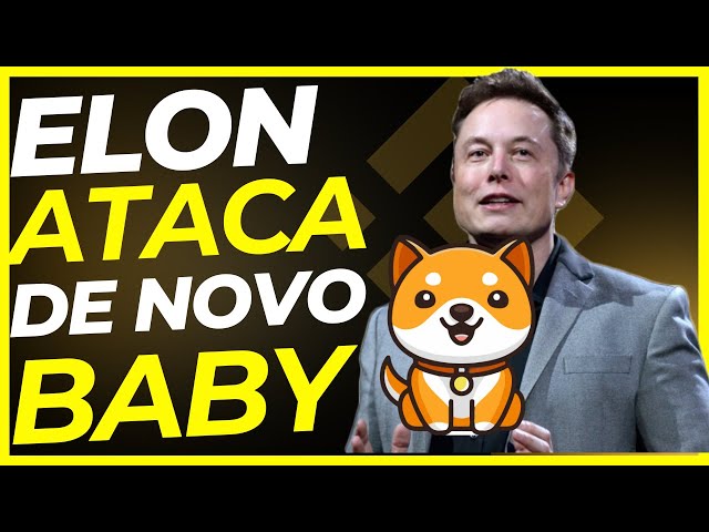 BABY DOGE COIN ELON MUSK가 다시 공격하여 가격이 오를 수 있습니다