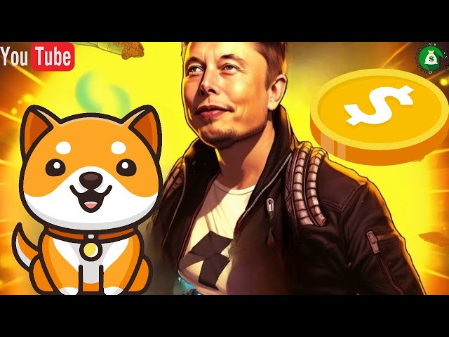 Elon Musk는 2024년에 Baby DogeCoin으로 다시 시작합니다.