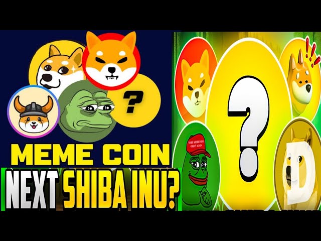 TOP MEME PIÈCE CRYPTO BITCOIN BULL RUN 2025 | SHIBA INU | FLOKI INU | PIÈCE PEPE | BONK INU | COQ INU