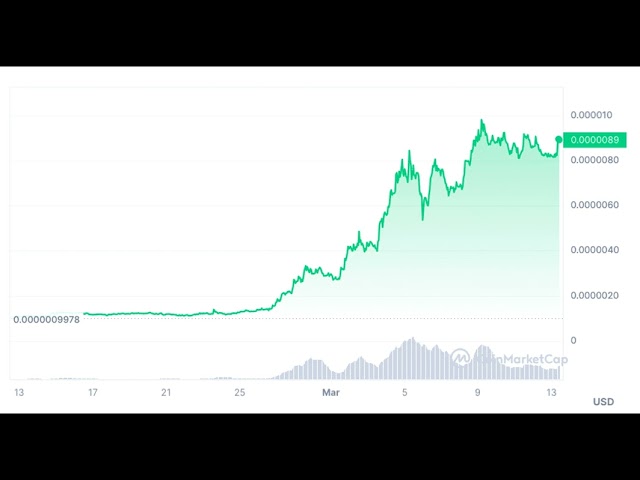 Pepe Price : le PEPE atteindra-t-il 1 $ en 2024 ?