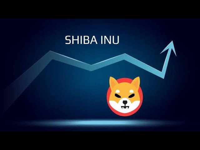 SHIBAコインは強気の最高目標?シバコイン分析?シバコイン？司馬 コメント?柴犬コイン?シブ