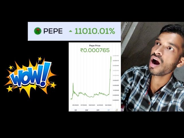 Pepe coin 11040% Profit