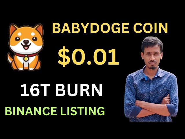 Baby Dogecoin $0.01 | 16 Trillion Burning | BabyDoge Coin Price Pump | Binance Listing