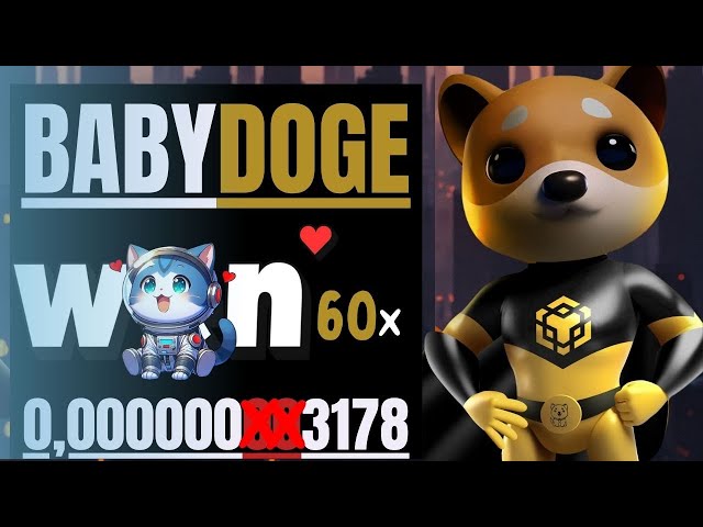 🔥BABY DOGE COIN // WEN TOKEN SOLANA WITH POTENTIAL FOR 60X🔥#babydogecoin #babydoge #shibainu #pepe