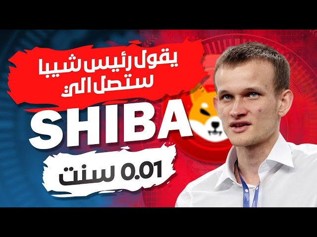 シブの通貨は 1 セントです。もうすぐ、ビットコインと通貨が急騰するでしょう🔥shib