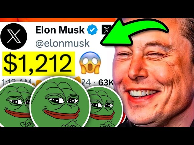 メレッドああああ💥イーロン・マスクがペペコインを正式に1,212ルピアまで燃やす‼️