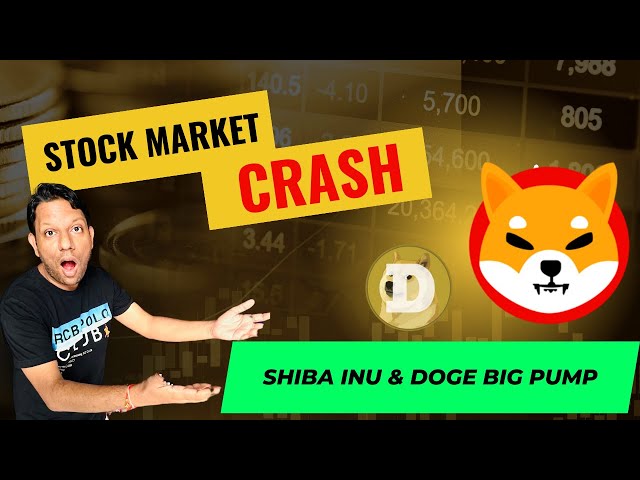 SHIBA INU和DOGE COIN將創造新的歷史。伊隆馬斯克重大更新 |印度股市大崩盤