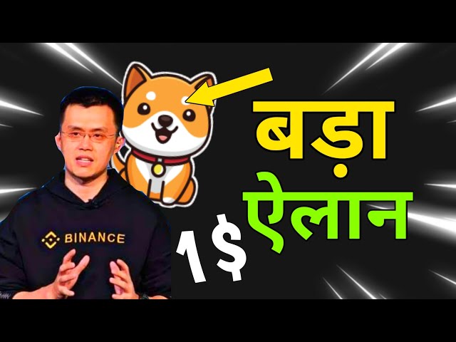 BABYDOGE COIN 幣安上市 🔥 BABYDOGE 0 殺！ 🤑 BABYDOGE 的大爆炸