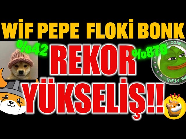 WİF COİN FLOKİ PEPE BONK REKOR KIRDI!!MEMECOİN RALLİSİ #floki #pepe #wifcoin #bonk #dogecoin #shiba