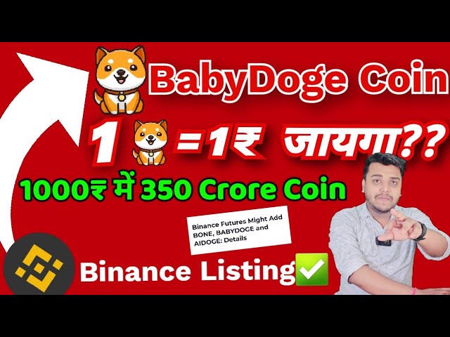 Pièce Babydoge : la cotation de Binance va avoir lieu ?? , la pièce Babydoge peut aller à 1 ₹ !! , Actualités sur les pièces Babydog