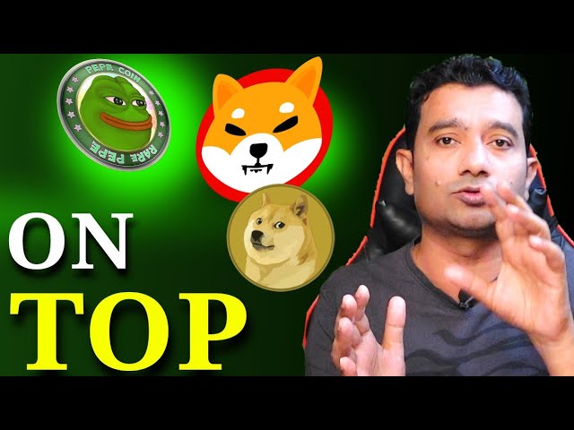 Shiba Inu 코인 VS Pepe 코인 및 Dogecoin || 2024년 최고의 밈 코인