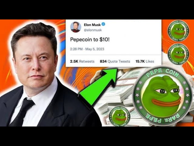 ELON MUSK의 PEPE 토큰 트윗으로 가격 인상: Tesla CEO는 PEPE를 구매하는 사람들에게 부를 약속했습니다!🚀ATH!🔥