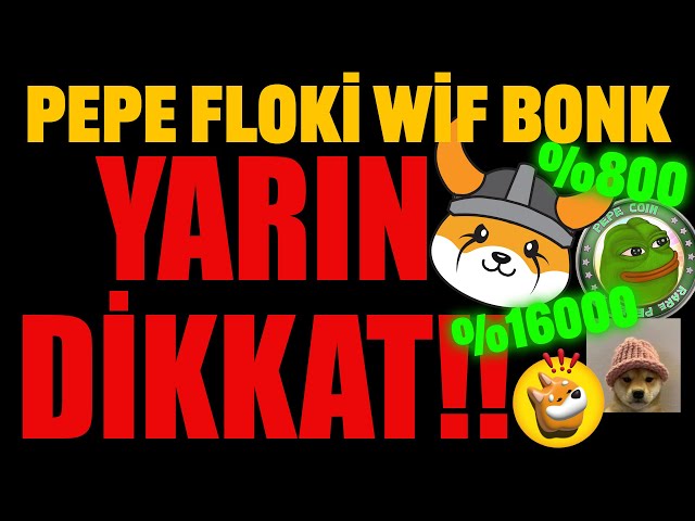 ATTENTION PEPE FLOKİ BONK WIF COIN TOMORROW! IMPORTANT NEWS #floki #pepe #wifcoin #bonk #dogecoin #shib