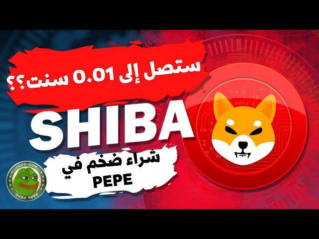 Shiba币正在准备火箭发射，最重要的投资币种是🔥shib