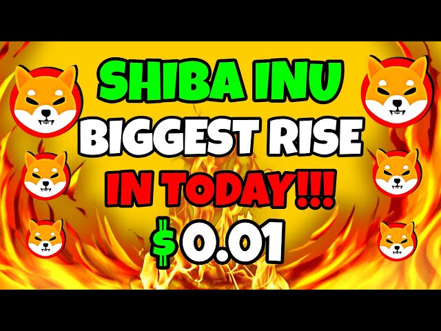 SHIBA INU COIN BREAKING 🔥 DER NÄCHSTE AUFSTIEG WIRD DER GRÖSSTE sein! 🚨 SHIB-PREISVORHERSAGE