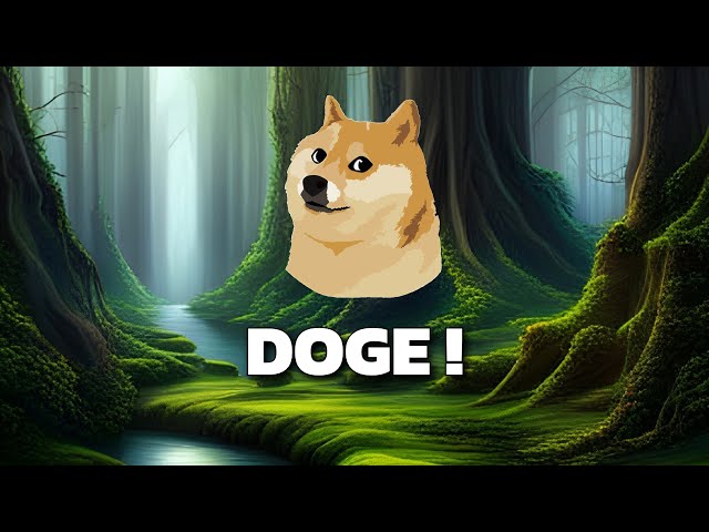 DOGE Coin (DOGE) 价格预测和技术分析，我会推动它！