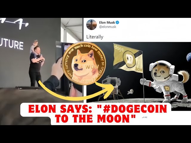 埃隆说：“#DOGECOIN 到月球”和特斯拉汽车购买......！狗狗币投资带来好消息