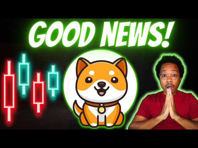 BABY DOGE COIN NEW LISTING | PUMP COMING SOON?